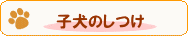 q̂